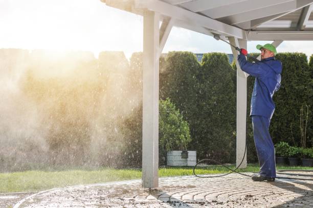 Best Gutter Cleaning  in Belmont, WI